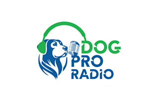 do my best to improve your idea of the perfect radio logo