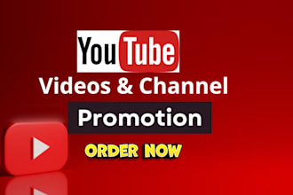do organic youtube promotion of your video