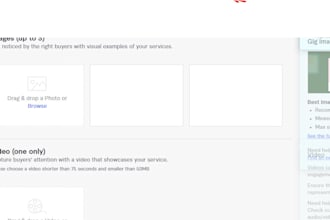 setup a shopify software for you