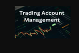 be your mt4, mt5 account manager with proper risk management,  prop management
