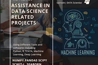 develop machine learning projects using python libraries