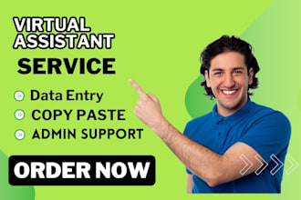 be your  virtual assistant for accurate data entry copy paste admin support