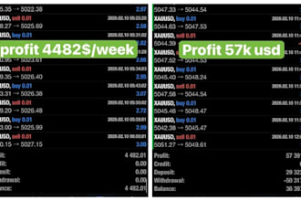 offer forex trading bot, forex bot, forex trading bot, forex trading bot