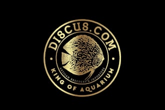 design a heraldic luxury vintage logo for your premium brand