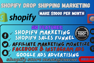 promote affiliate marketing, do shopify dropshipping with google ads
