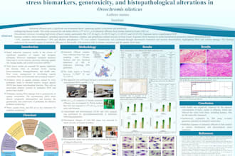 design stunning conference and academic posters