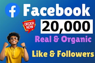 add you 20,000 facebook followers very fast