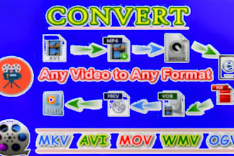 convert any video to mp4 mov avi mkv or any format you need