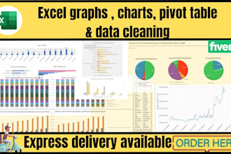 do excel graphs, charts, pivot table, data cleaning