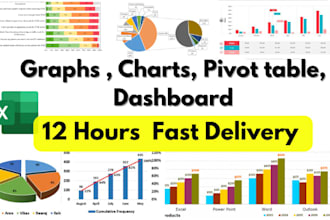 create ms excel graphs, excel charts, pivot table, dashboard