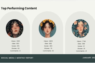 provide an instagram engagement report