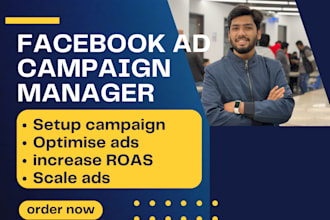 facebook advertising campaign setup and management