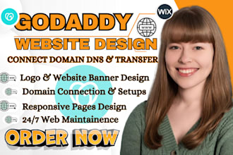 design godaddy website, godaddy airo systeme io landing page domain dns