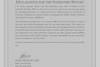 prepare plagiarism and ai free academic reports and assignments