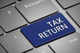 prepare USA form 1040 1065 990 1120 and payroll tax filing