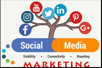 run targeted social media ads for maximum reach and brand growth