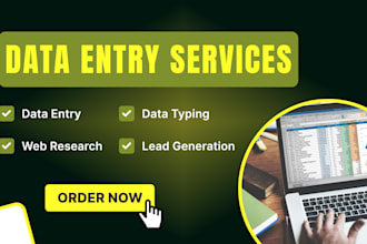 do data entry, web scrapping, email scrapping, copy paste and typing work