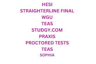 help with hesi, wgu,praxis, straighterline final and other proctored tests