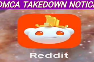 report copyright and infringement content of reddit by dmca