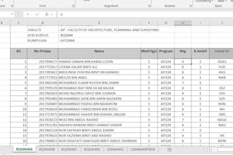 handle data entry accuracy and efficiency