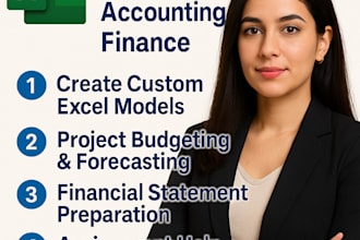 excel project accounting finance model assignment data analysis