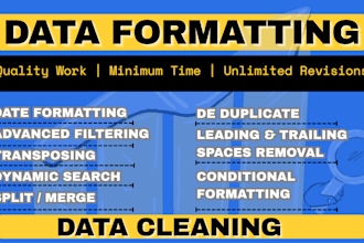 do data ms excel data cleaning, data entry, copy paste, data formatting