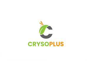 create custom natural logo design for business