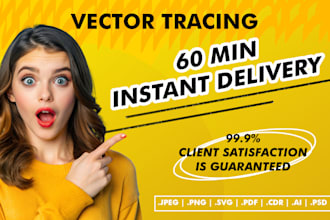 redraw and vectorize your image or logo professionally