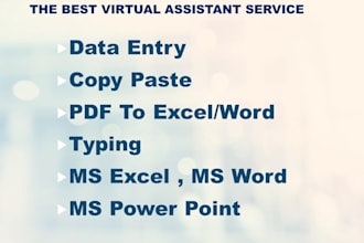 do data entry in low price