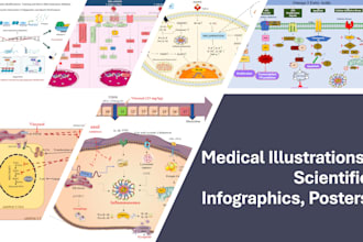 design custom medical illustrations, scientific infographics, posters