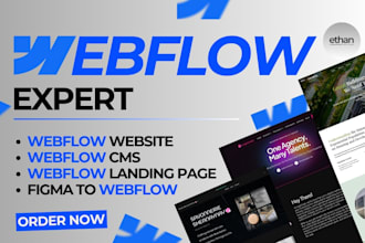 develop webflow website fix webflow bugs and webflow memberstack