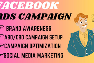 professionally create, setup meta facebook ads campaign for your business