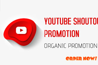 help you to develop a youtube shoutout, organic subscribers for your channel