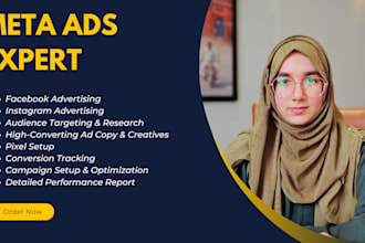 setup and manage meta ads campaign