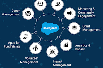 help you with the npsp donor project in salesforce