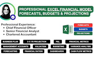 create professional excel models, forecasts or budgets
