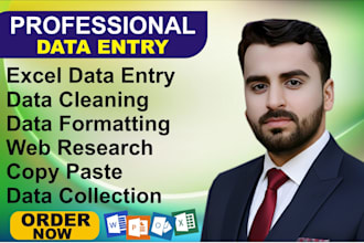 do expert data entry, web research and fast copy paste work
