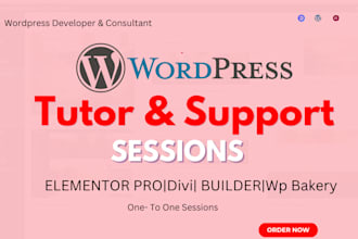 do live wordpress consulting, teaching or troubleshooting