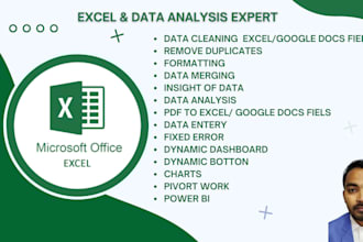excel graphs, charts, pivot table, data clean, PDF to excel and dashboard