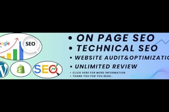 provide SEO audit and fix on page and technical errors