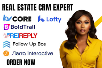 setup lofty CRM, boldtrail, kvcore, follow up boss rei reply sierra interactive