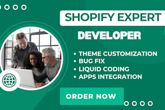 do shopify customization, bug fixes, and custom coding for your store