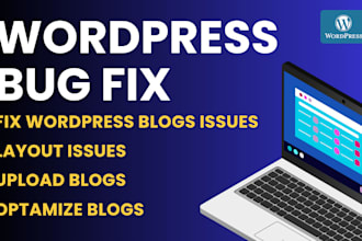 solve wordpress bugs and repair you site urgently