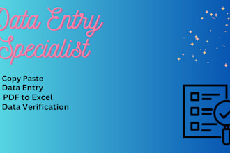 do excel data entry