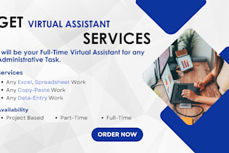 be your professional virtual assistant