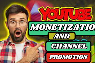 do youtube channel SEO and video optimization for top ranking on search result
