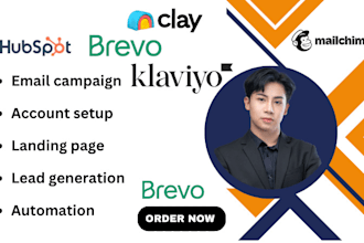 setup advanced klaviyo, brevo automation email flows for lemlist, instantly ai