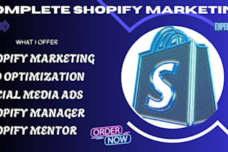 manage complete shopify ecommerce marketing fb ad SEO social media ads promotion