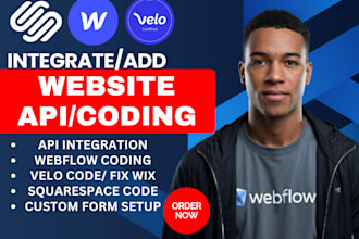 integrate API fix issues and add custom code in webflow wix and squarespace