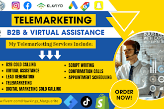 do b2b cold calling, telemarketing, script writing, VA and appointment setting